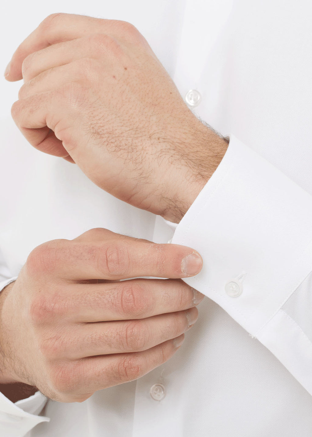 Camicia in oxford pinpoint, vestibilità slim. Ingram Uomo. - Bianco